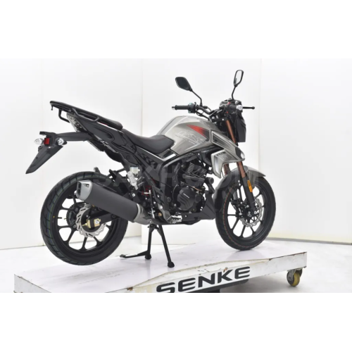Мотоцикл Regulmoto Majesty,...